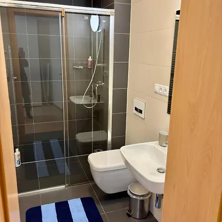 Royal Wenceslas Square Appartement